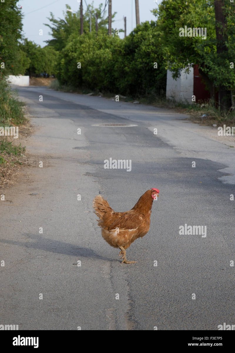 Chicken road casino in Spain